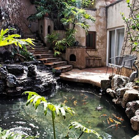 El Refugio Apartments & Villa La Matanza De Acentejo 외부 사진