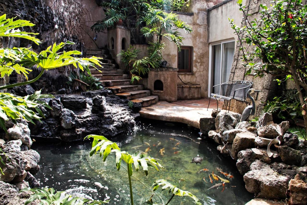 El Refugio Apartments & Villa La Matanza De Acentejo 외부 사진